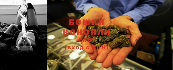 метадон Богданович