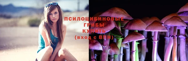 крисы Беломорск
